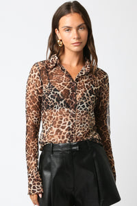 Rachael Leopard Mesh Top