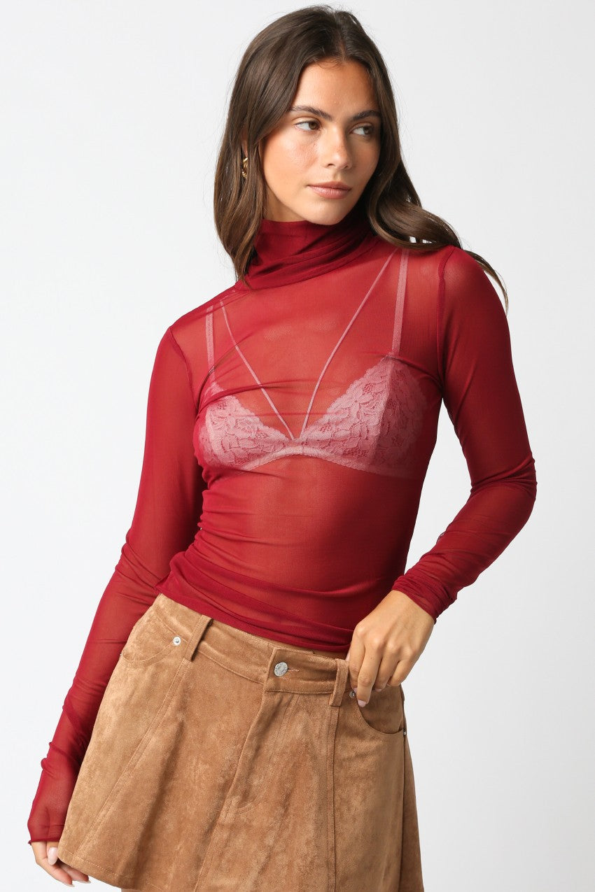 Ivy Mesh Turtleneck Top