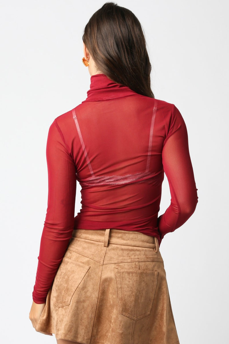 Ivy Mesh Turtleneck Top