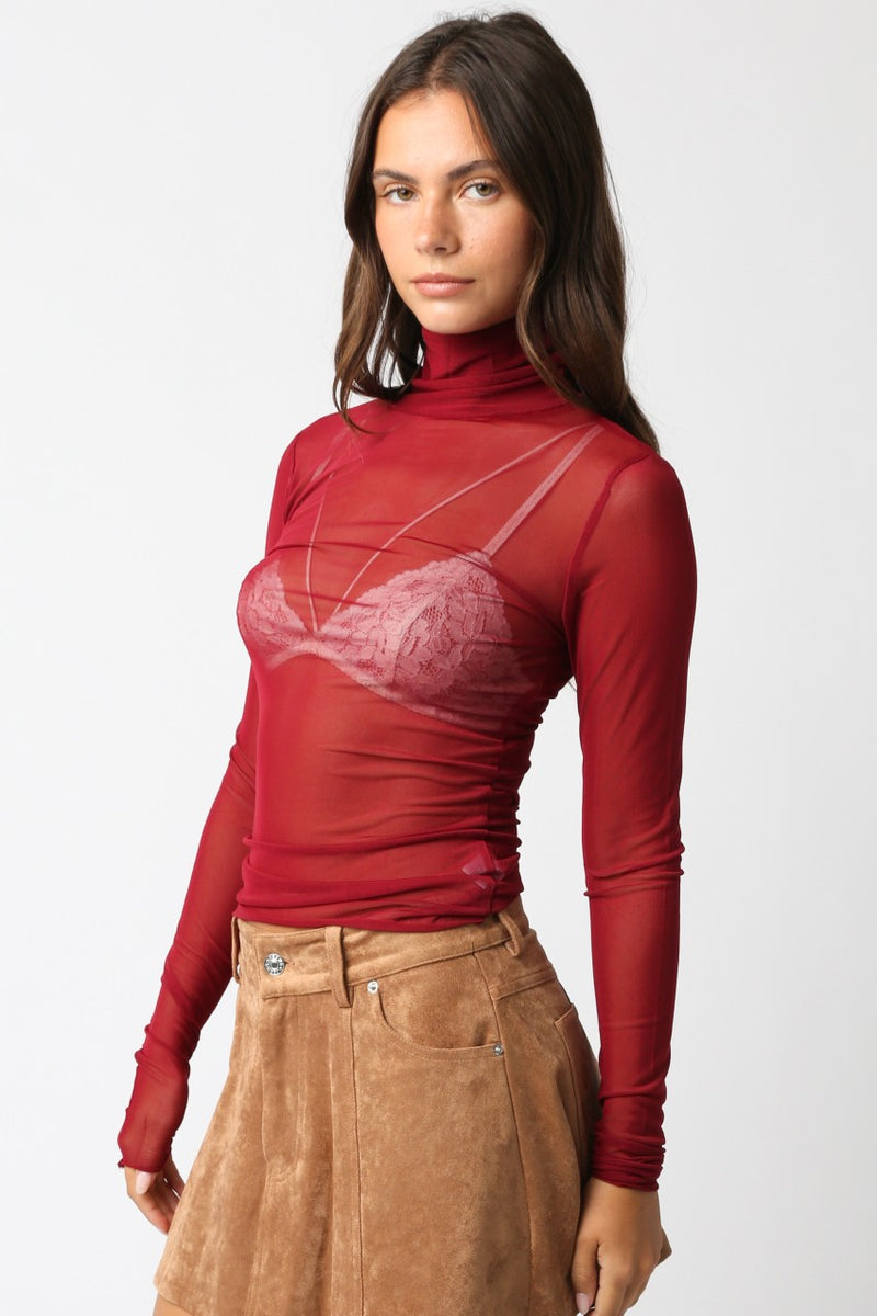 Ivy Mesh Turtleneck Top
